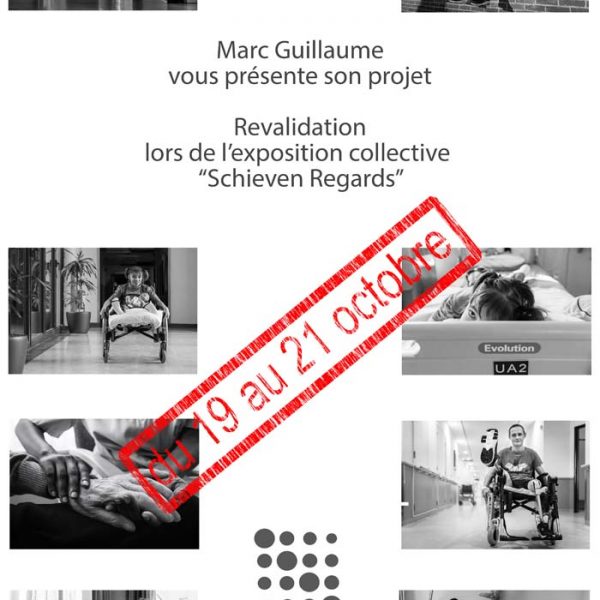 Schieven Regards  I : Marc Guillaume
