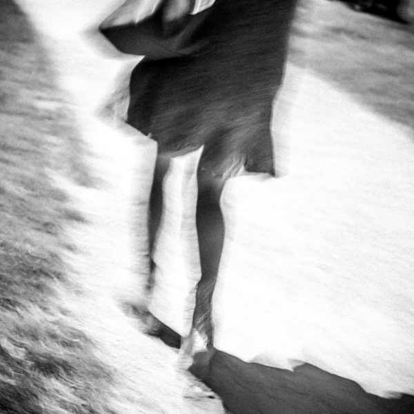 Schieven Regards III – Sophie Voituron : « Les élégantes »