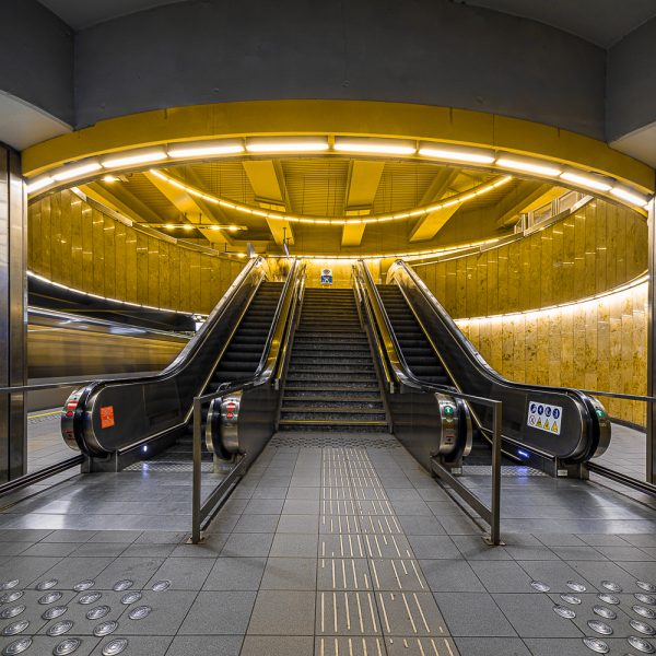 Schieven Regards III – Hélène Cook : « Metro  Creatures »