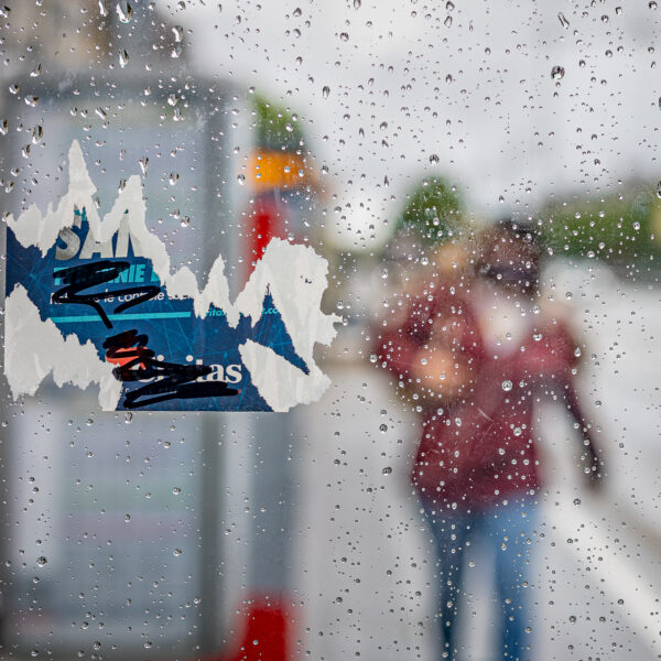Schieven Regards IV – Hélène Cook : « Drache bruxelloise »