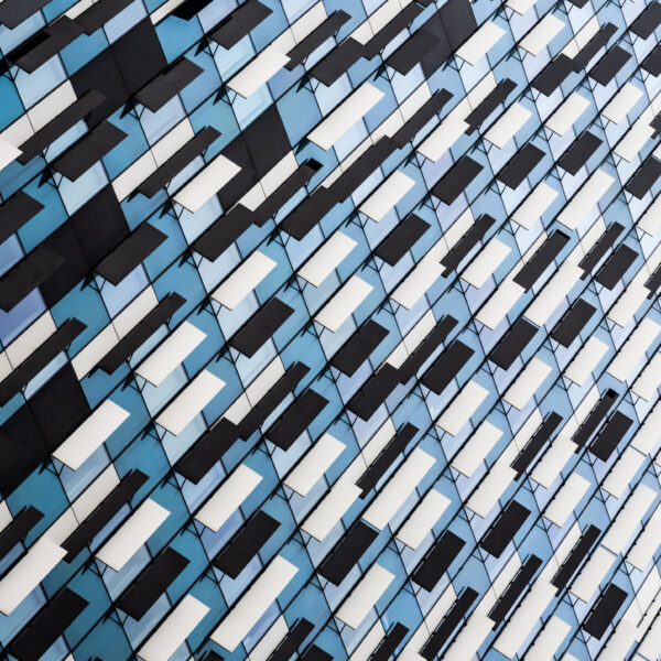 Schieven Regards V – Carole Touati : « The Matrix »