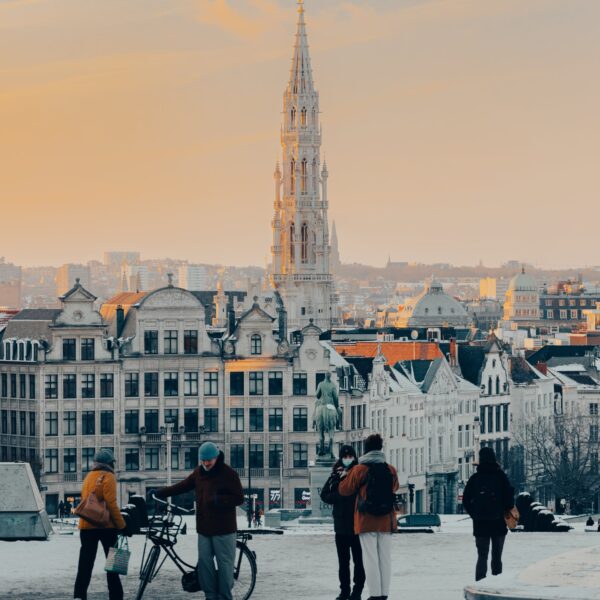 Bruxelles Pixels VII – Lionel Maelfeyt : « Bruxelles des Neiges »